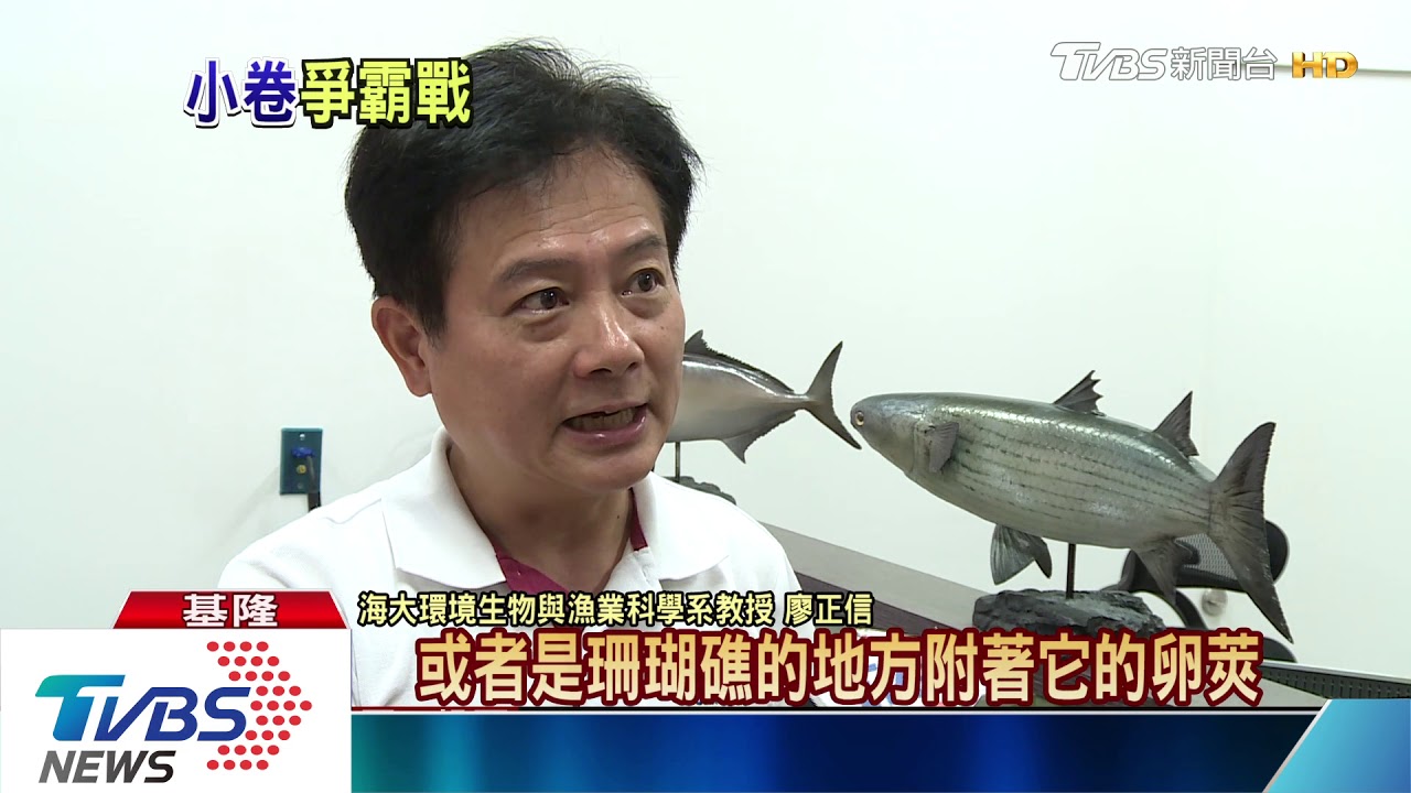20年來產量剩四分之一 「小卷」消失去哪裡?