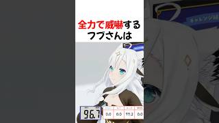 全力で威嚇するフブさん【ホロライブ切り抜き】#shorts #short #白上フブキ #宝鐘マリン #さくらみこ #雪花ラミィ #姫森ルーナ #天音かなた