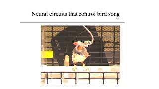 MIT 1: Course Overview and Ionic Currents