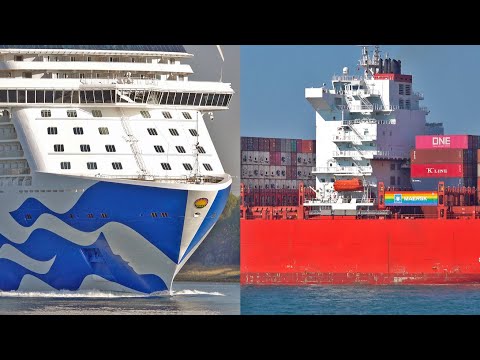 BIG CRUISE SHIP ARRIVES AT ROTTERDAM PORT - 4K SHIPSPOTTING AUGUST 2022