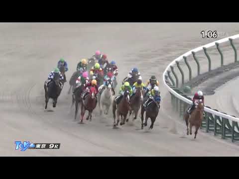 2023.11.25 Cattleya Stakes (JPN) - Amante Bianco
