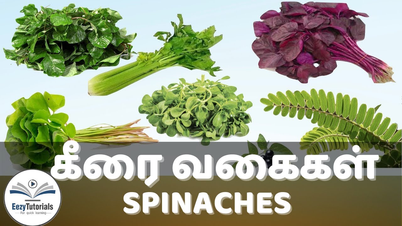 கீரை வகைகள் | கீரைகள் | Keerai vagaigal, Keeraigal in Tamil and English | Leafy greens spinaches