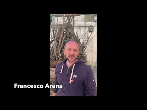 MONTE SANT'ANGELO-. FANOIE 2023-  INTERVISTA A IGNAZIO GUERRA: DA PARMA A MONTE SANT'ANGELO