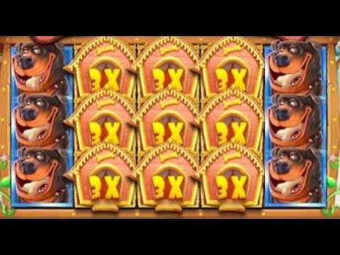 TOP 5 BIGGEST WINS ON ROSHTEIN STREAMER ★ SUPER RECORD BONUS COMPILATION