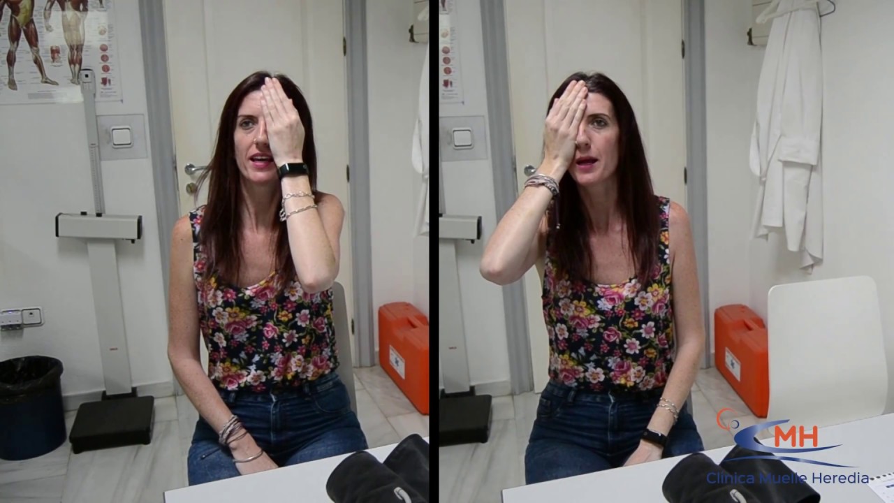 Renovación carnet en Málaga | Clínica Muelle Heredia