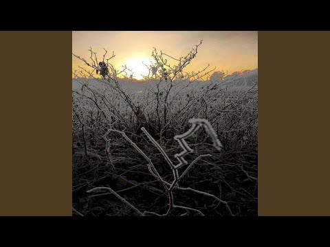 Solsnu (feat. Accidentally Graceful & Grapevine Springs)