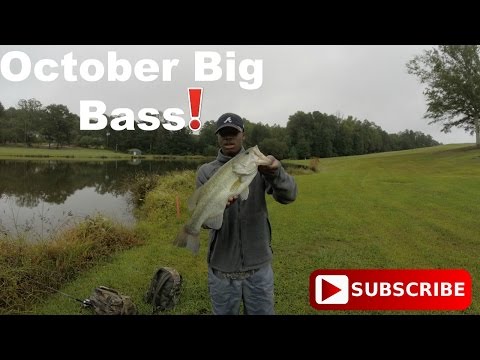 October Big Bass