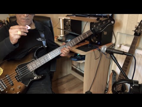 Child of Prophecy by Myrath bass licks 🎸