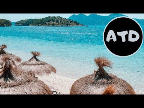 Henry Fong x DJ BrainDead - Ventura