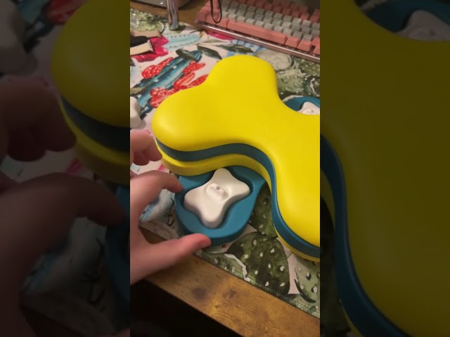 Vídeo relacionado con Nina Ottosson por Outward Hound Dog Twister - Dispensador Interactivo de recompensas - Rompecabezas para Perros - Nivel avanzado