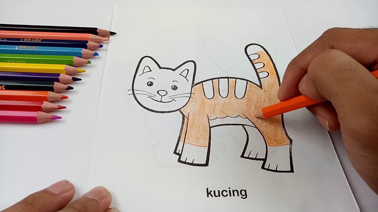 Belajar dan Cara Mewarnai Kucing Untuk Anak-Anak |  Coloring The Cat