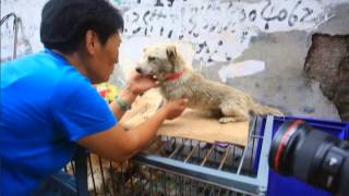 &quot;Better Place&quot; (song for Yulin)