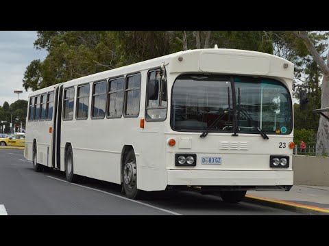 [Preserved] Ex-STA #2579 Mercedes Benz O305G (PMC)