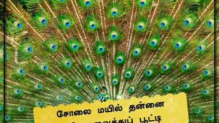 Download lagu Kalyana Maalai Kondadum Video Song whats app mp3