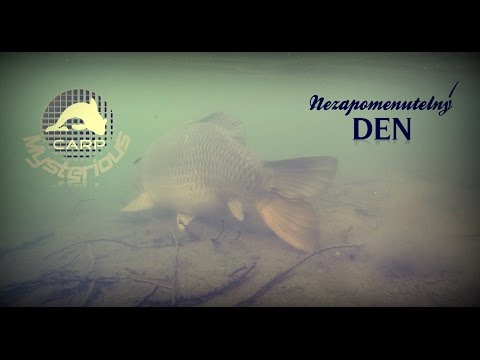 Carp fishing nezapomenutelný den