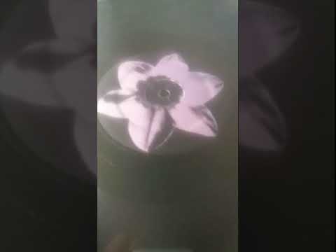 Bridgett Grace  - Love to the Limit(Back in the days mix)