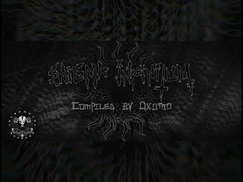 VA ENIGMA INFINITUM 11 - Traumaticoma vs Korshid -The Dustman (230 BPM) by Metacortex Records