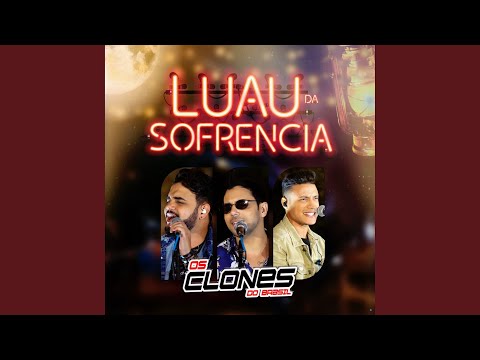 É o Amor / Será Que Foi Saudade / Na Hora H / Dou a Vida por um Beijo / Dois Corações e uma...