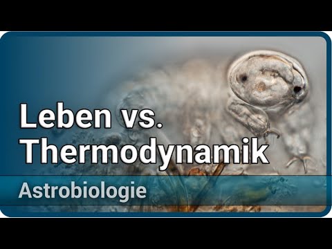 Can life be defined thermodynamically (entropy)? • Astrobiology (2) | Aleksandar Janjic