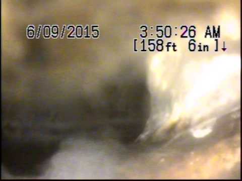 29 McCoba St. 06/06/15