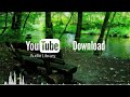 Topher Mohr And Alex Elena The Creek Free No Copyright Music