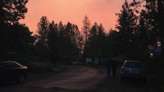 lotte kestner - no surprises (radiohead cover)