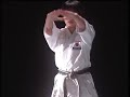 KANKU DAI BUNKAI Por Mimura Yuki