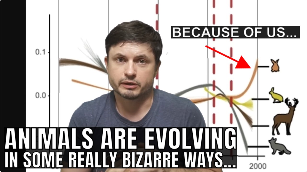 ��������� ����� �� ����� - ��� ������ ����