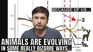 Animals Are Evolving to Survive in the Human World But Often in a Weird Way MQDEFAULT Thumbnail