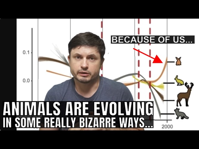 Animals Are Evolving to Survive in the Human World But Often in a Weird Way SDDEFAULT Thumbnail
