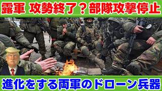 【大統領閣下】ウクライナ情勢を解説【ドナルド閣下の解説】