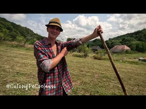 👣 ”Cel mai iubit dintre pământeni”: tânărul cioban IONUȚ LAZĂR din satul DELENI, jud. MUREȘ (🆕2023)