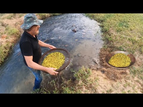 OLHA O TANTO DE OURO QUE ACHEI FAZENDO UM SIMPLES TESTE