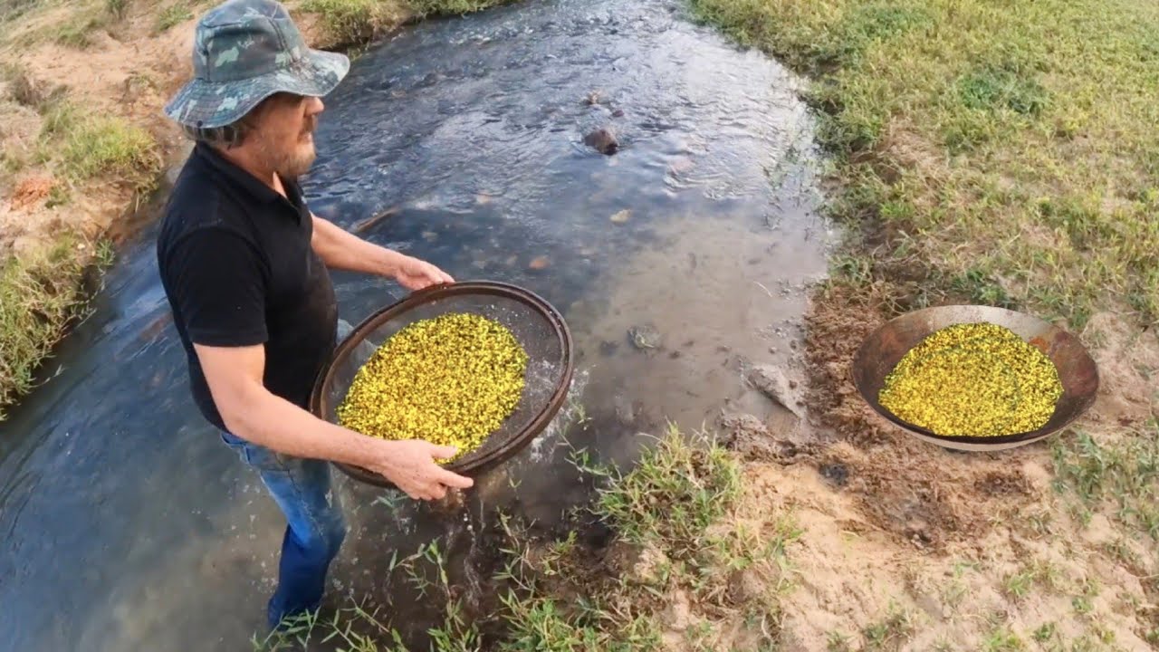 SEE THE AMOUNT OF GOLD IN THIS RIVER