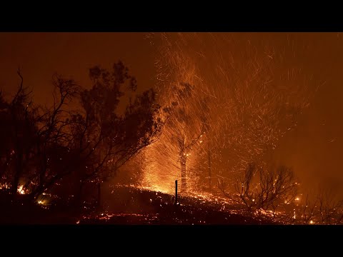 Waldbrand in Kalifornien außer Kontrolle | AFP
