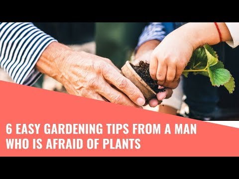 download lagu mp3 mp4 Gardening Tips From A Man Who Is Afraid Of Plants, download lagu Gardening Tips From A Man Who Is Afraid Of Plants gratis, unduh video klip Gardening Tips From A Man Who Is Afraid Of Plants