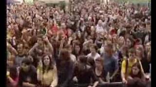 Video MEDVĚD 009 - Jelen