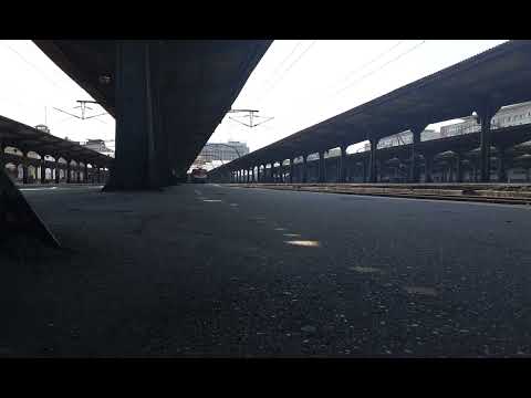 DELFINUL 477-888-8.IZOLAT IN DRUM SPRE DEPOUL BUCURESTI CALATORI