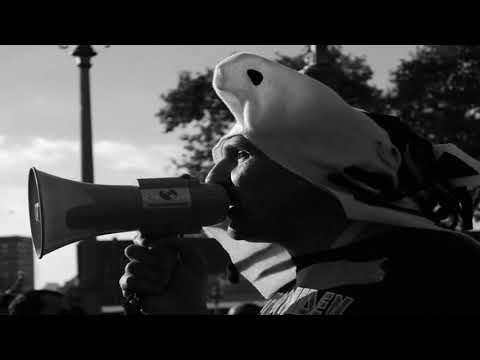 download lagu mp3 mp4 Orgullo Loco, download lagu Orgullo Loco gratis, unduh video klip Download Orgullo Loco Mp3 dan Mp4 Free All Gratis