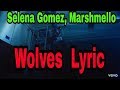 Selena Gomez, Marshmello - Wolves (Visualizer) lyrics video Selena Gomez, Marshmello - Wolves (Visualizer) lyrics video