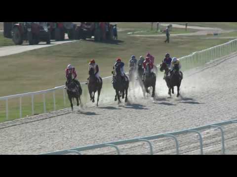 2017.07.30. 7. futam - NÉMETH FERENC EMLÉKKUPA IV. FUTAMA HP (IV.o.) (szintetikus pálya)