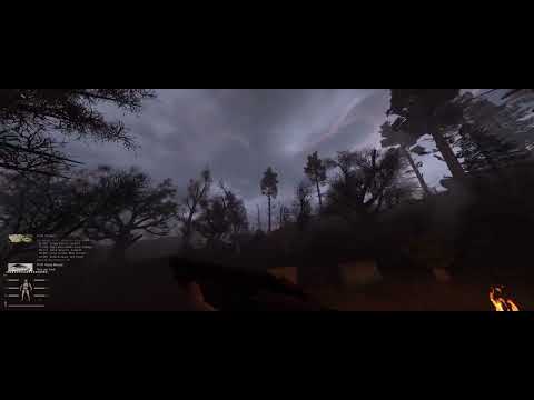 Stalker Anomaly Gamma Emission, if you dont know Stalker Gamma, now you know! Ultrawide PC Gameplay