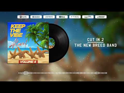 CUT IN 2- The New Breed Band
