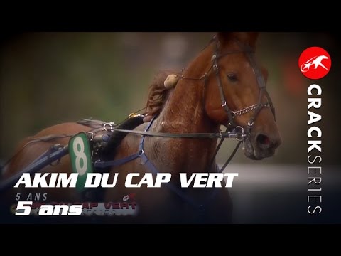 AKIM DU CAP VERT, 5 ans - CRACK SERIES 2015