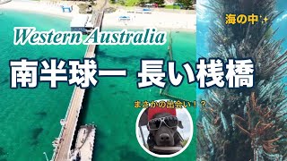 Busselton | Underwater Observatory パースから2時間半！海中展望台♪
