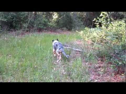 Chyna w/o wheelchair. Read description for more info.