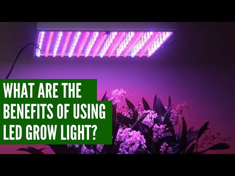 , title : 'What are the Benefits of using LED grow light?'