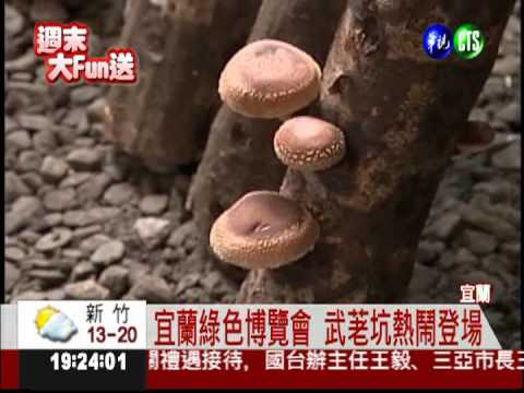 綠色博覽會開鑼 快來體會種菜趣!