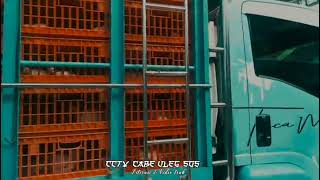 Download lagu Story wa truk ayam🐓 mp3