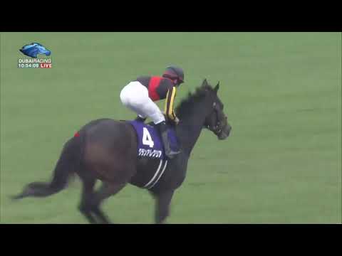 2020.11.22 Mile Championship (JPN) - Gran Alegria